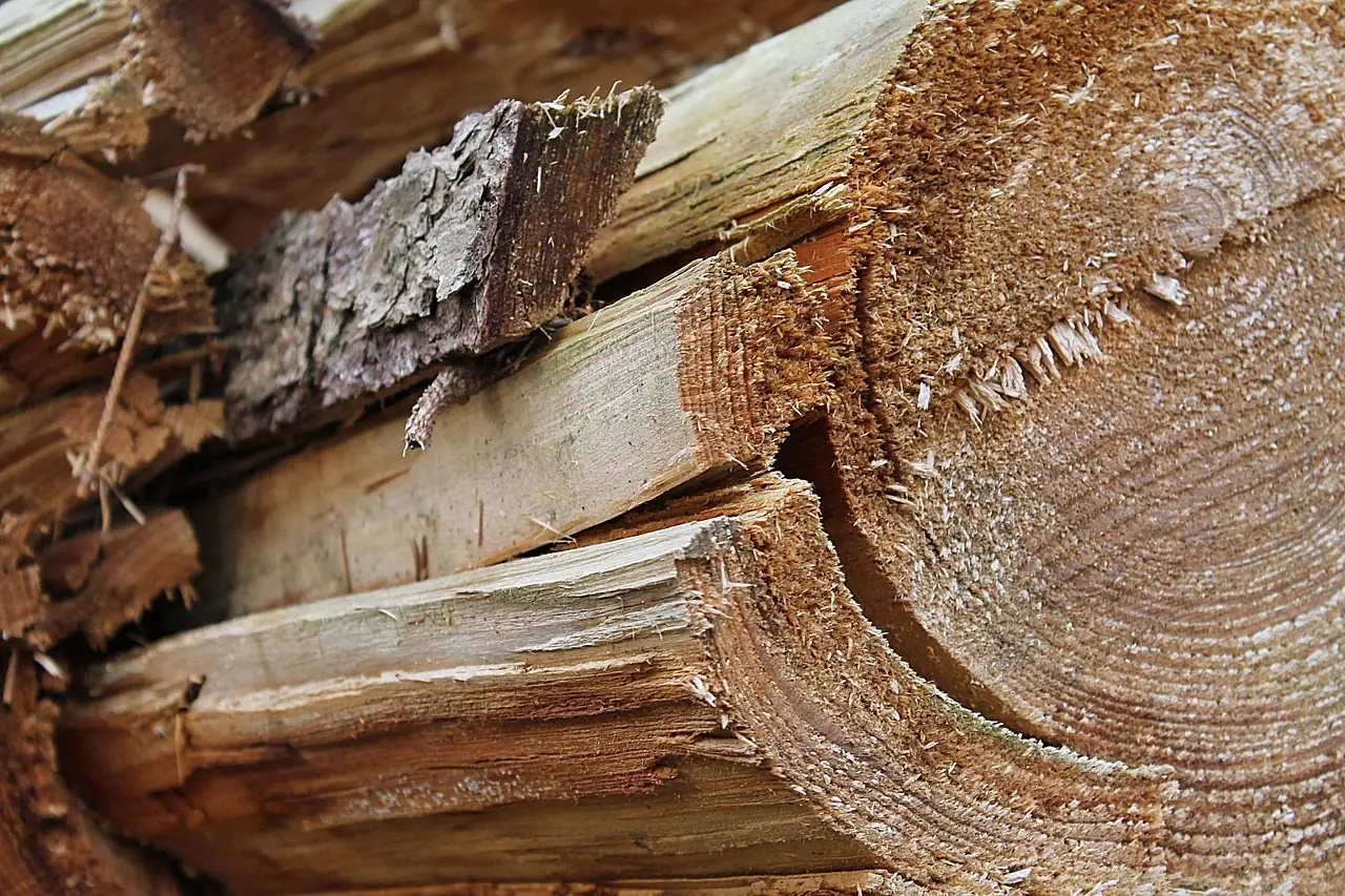 Close view of sawn and split log ends showing growth rings