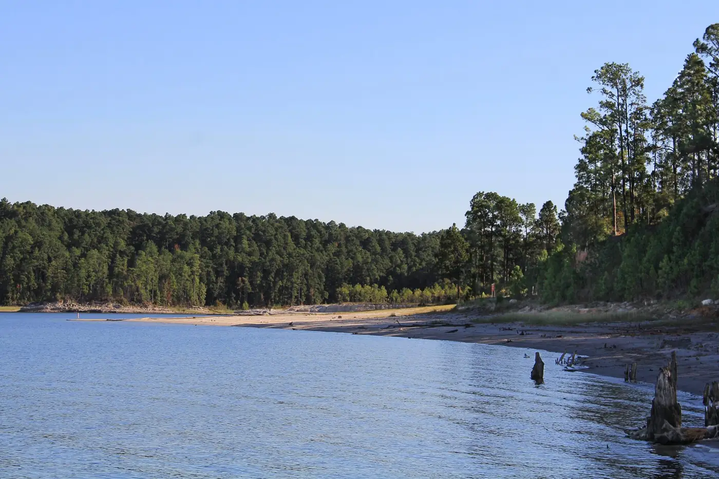 Calm water of Sam Rayburn Reservoir with pine-covered shoreline
