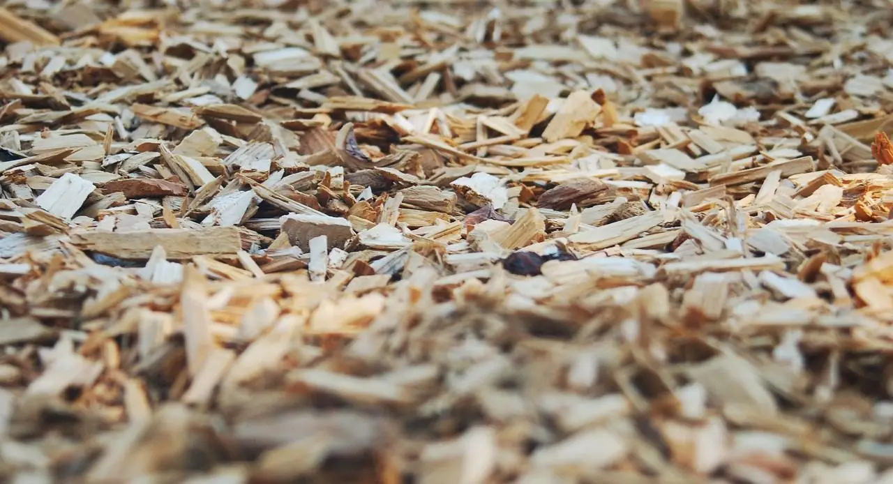 Close view of a bed of brown and tan wood chips